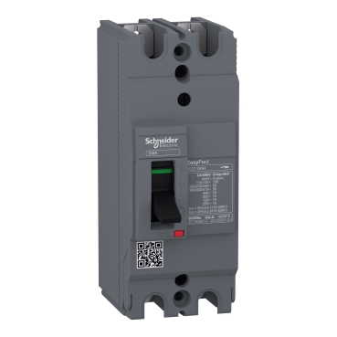 Автоматический выключатель Easypact EZC100H-TMD 100A 2P