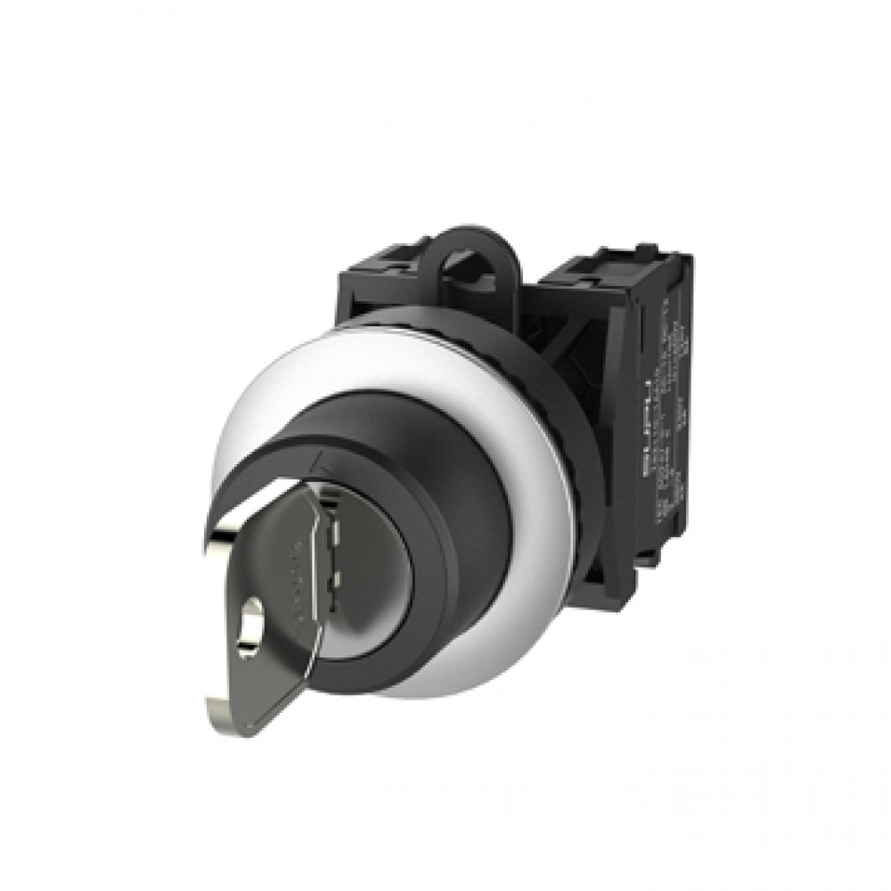 Переключатель с ключом TS2020-2AJ60 SUPU